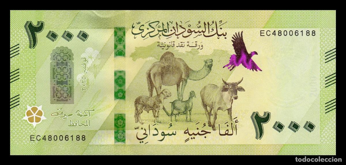 Billetes extranjeros: Sud&aacute;n 2000 Libras 2025 (2026) Pick 88b Nuevo Sc Unc