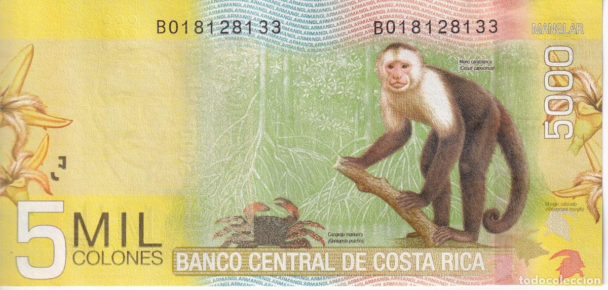 Billetes extranjeros: BILLETE DE COSTA RICA DE 5000 COLONES DEL A&Ntilde;O 2012 SIN CIRCULAR (SC) (MONO-MONKEY)