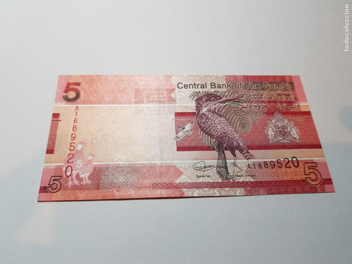 Billetes extranjeros: GAMBIA- 5 DALASIS-2019