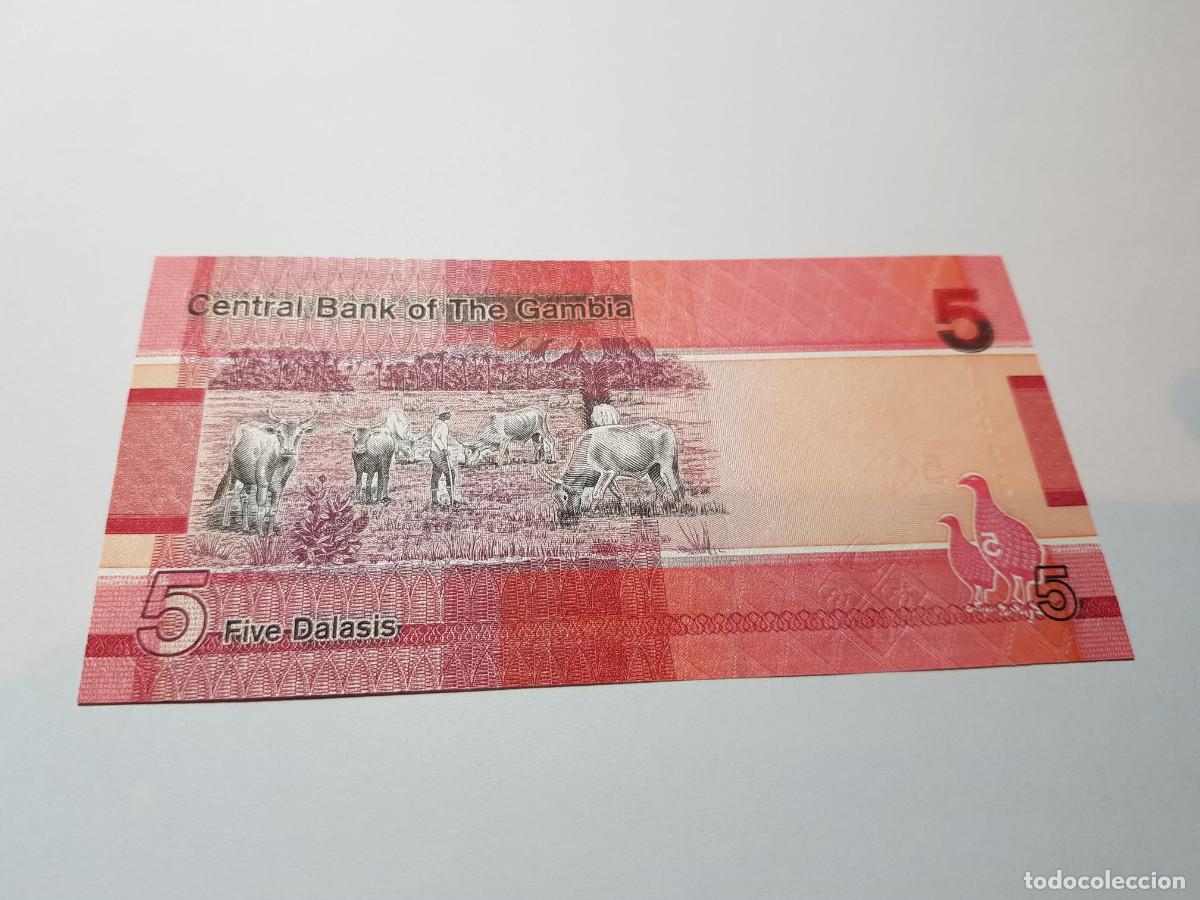 Billetes extranjeros: GAMBIA- 5 DALASIS-2019 - Foto 2