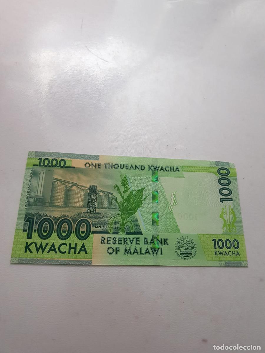 Billetes extranjeros: MALAWI -1000 KWACHA -2021 - Foto 2