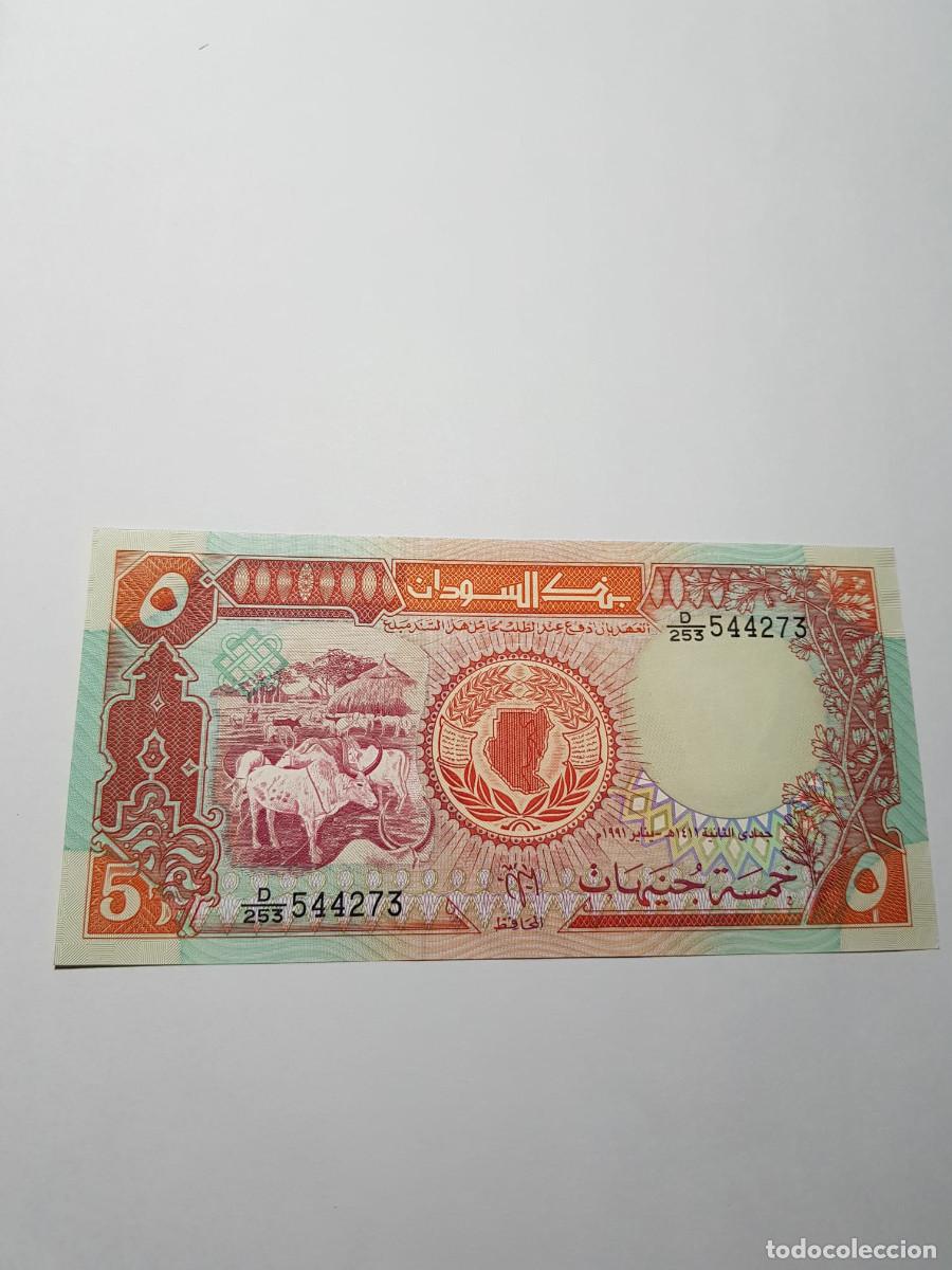 Billetes extranjeros: SUDAN- 5 LIBRAS-1991