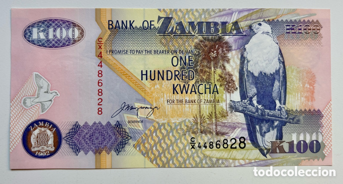 Billets internationaux: Billete ZAMBIA 100 Kwacha 1992 SC