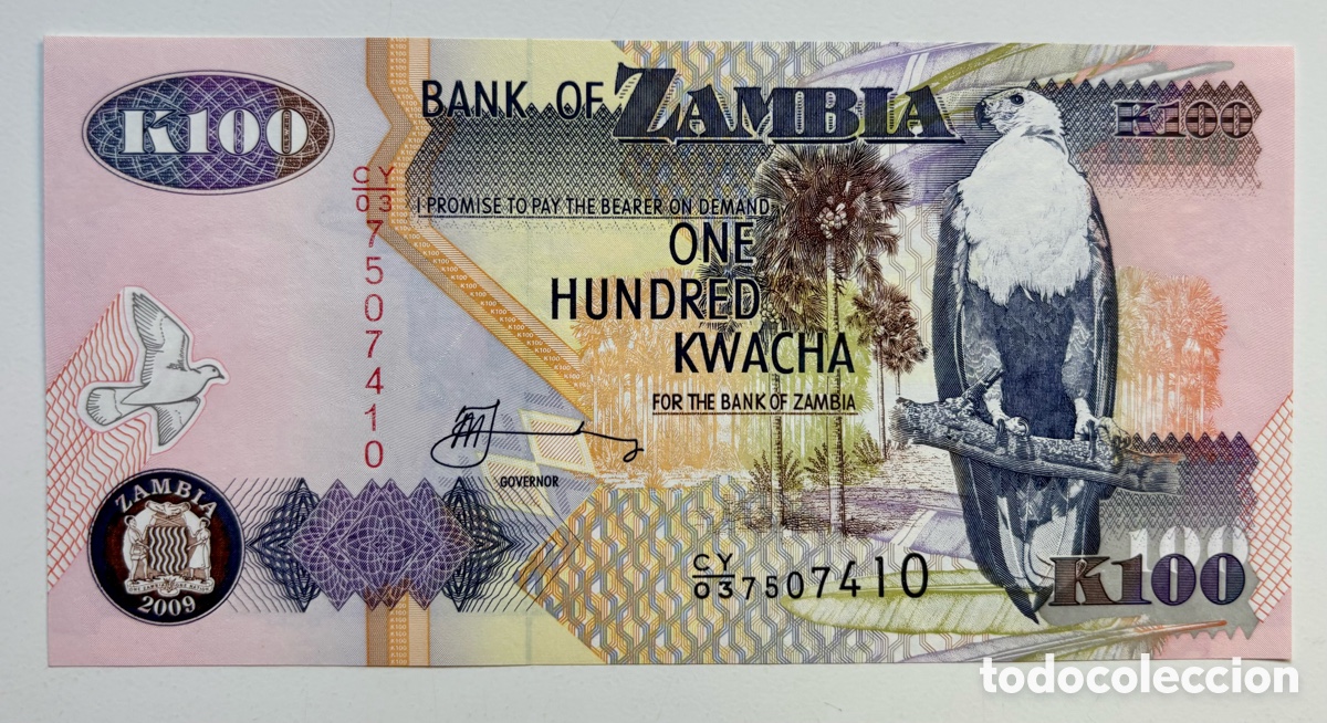 Billets internationaux: Billete ZAMBIA 100 Kwacha 2009 SC