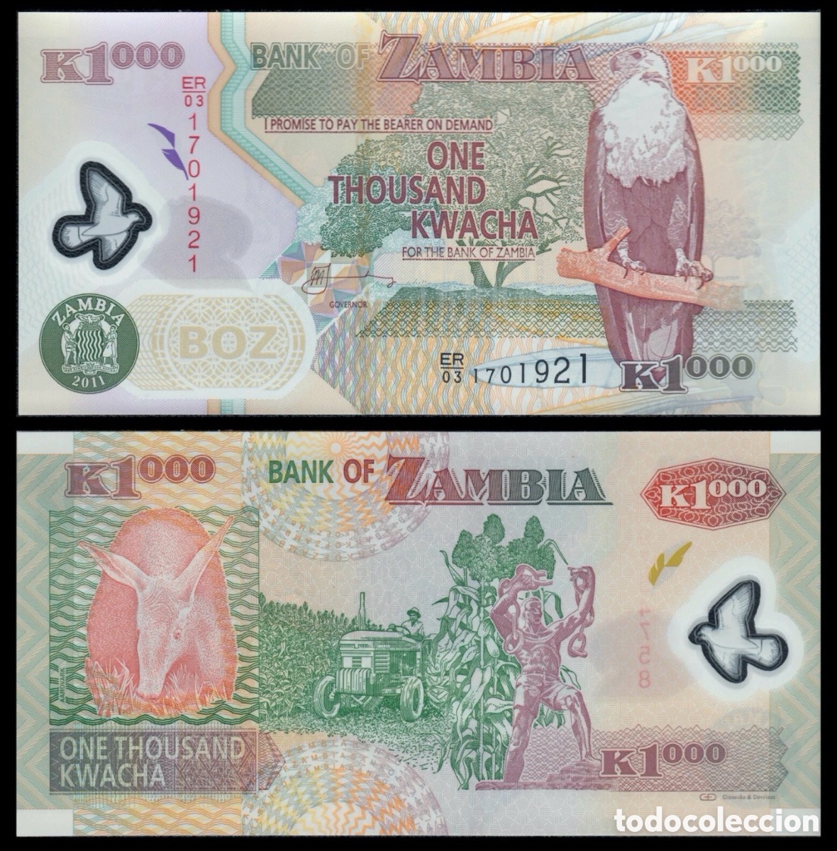 Billets internationaux: Billete ZAMBIA 1000 Kwacha 2011 SC Polimero