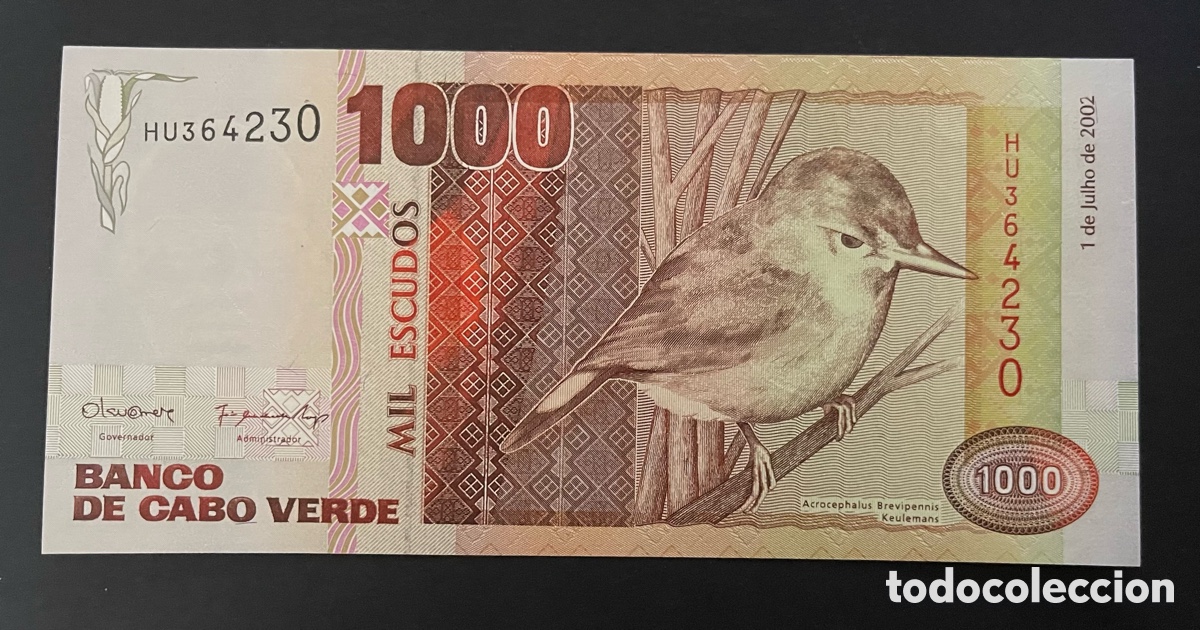 Billetes extranjeros: CMC CABO VERDE (CAPE VERDE) 1000 ESCUDOS 2002 PICK 65-B SC