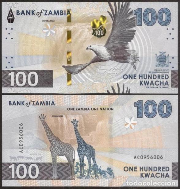Billetes extranjeros: ZAMBIA. 100 kwacha 2025. S/C. Fauna. Girafas.