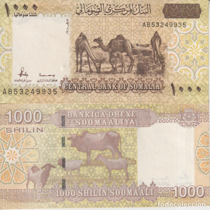 Billetes extranjeros: Somalia 1000 Shilin Pick W 38 SC/UNC