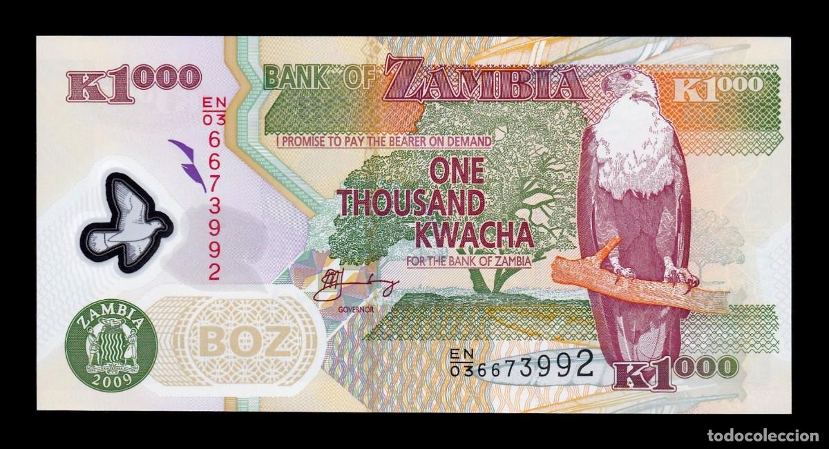 Billetes extranjeros: Zambia 1000 Kwacha &Aacute;guila pescadora 2009 Pick 44g Pol&iacute;mero Sc Unc