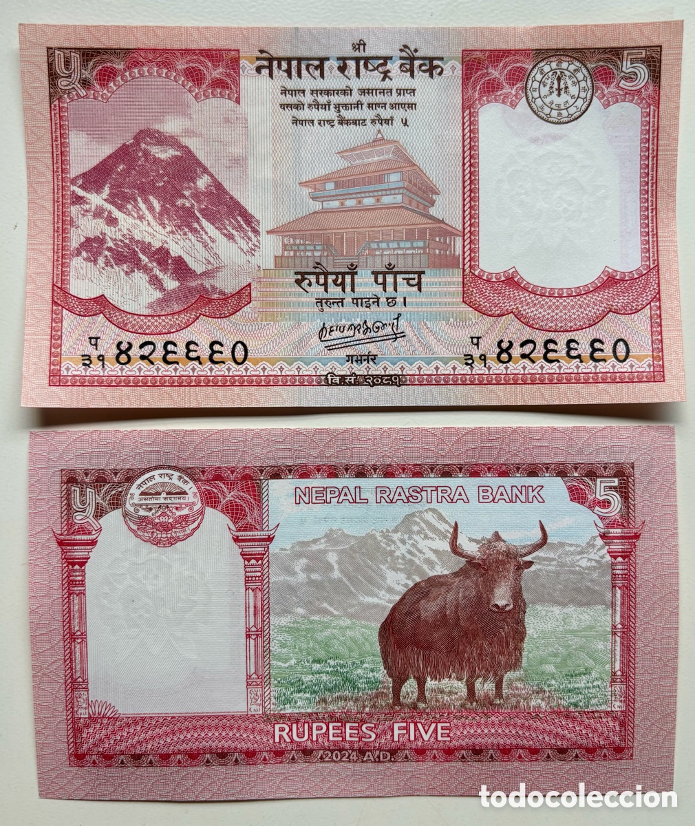 Billetes extranjeros: Billete NEPAL 5 Rupias 2024 SC. Rupees