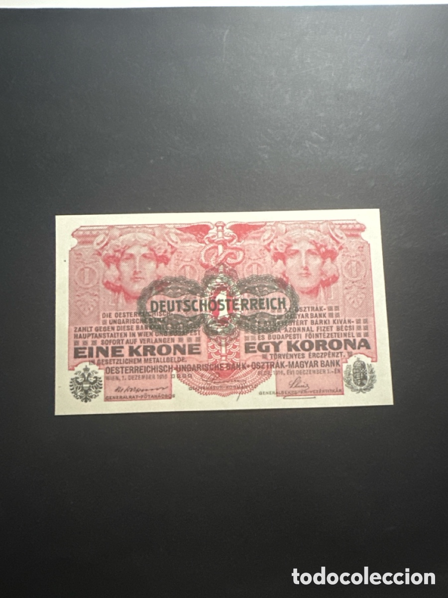 Billets internationaux: Billete de Austria 1 corona a&ntilde;o 1919 sin circular