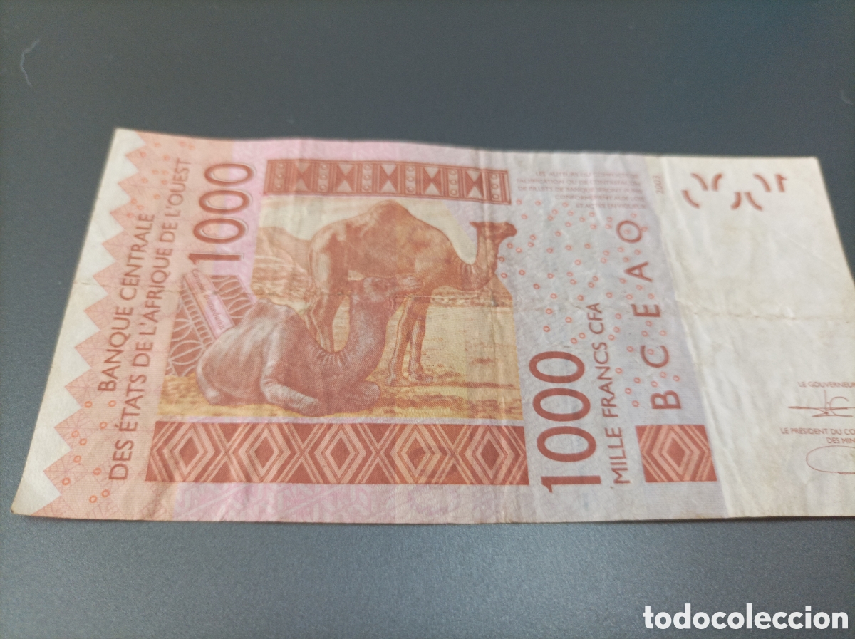 Billetes extranjeros: Billete de &Aacute;frica del oeste de 1000 francos cfa de 2003