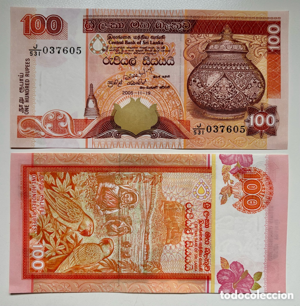 Billetes extranjeros: Billete SRI LANKA 100 Rupias 2005 SC