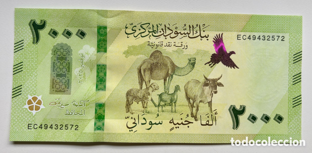 Billetes extranjeros: Billete SUD&Aacute;N 2000 Libras 2025 SC