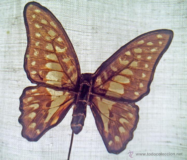 Joyeria: ALFILER MARIPOSA NATURAL - Foto 1
