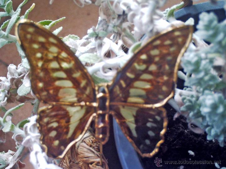 Joyeria: ALFILER MARIPOSA NATURAL - Foto 2