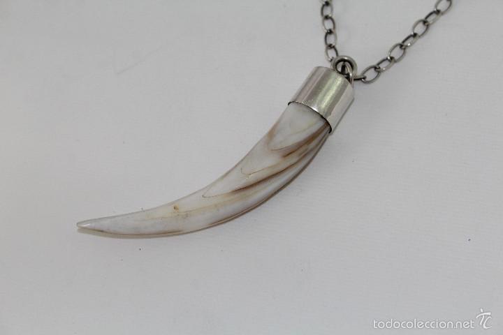 Joaillerie: colmillo colgante en plata de ley y nacar
