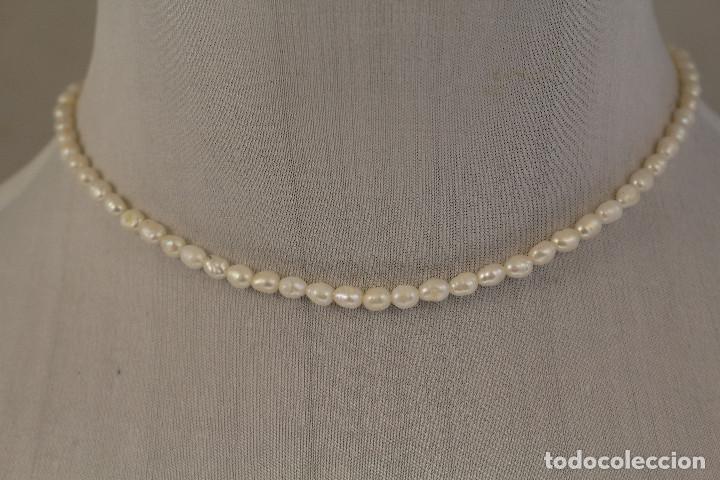 Schmuck: collar de perlas cultivadas