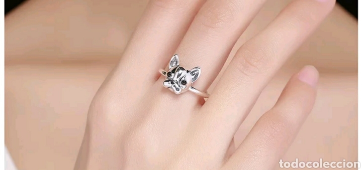 Joyeria: Anillo Bulldog Plata ENV&Iacute;O GRATIS!! - Foto 3