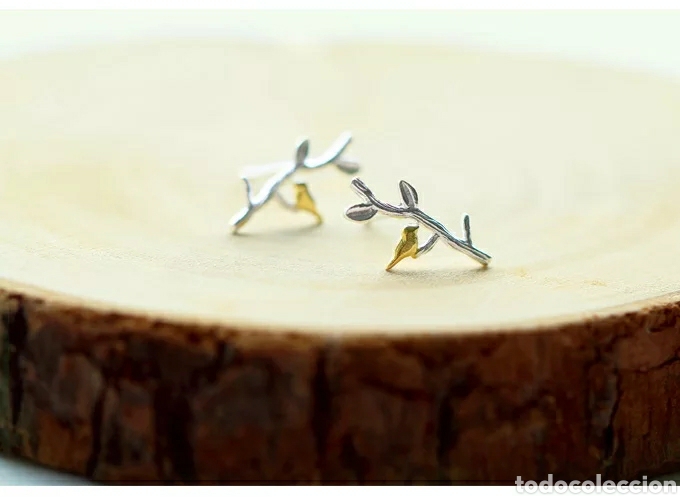 Joyeria: Pendientes de Plata ENV&Iacute;O GRATIS!! - Foto 2