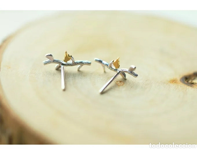 Joyeria: Pendientes de Plata ENV&Iacute;O GRATIS!! - Foto 4
