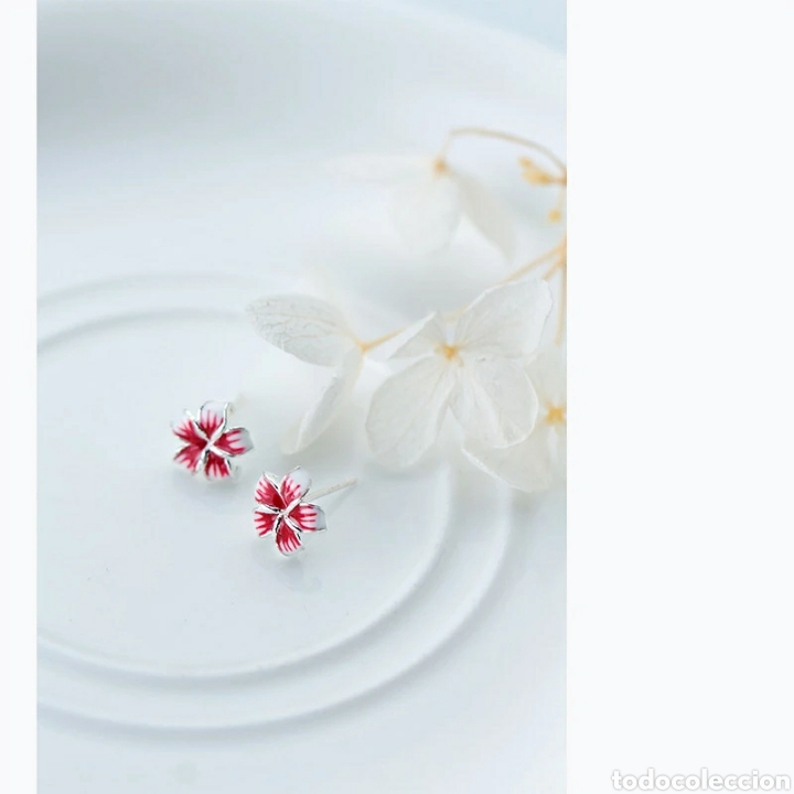 Joyeria: Pendientes de Plata ENV&Iacute;O GRATIS!! - Foto 3