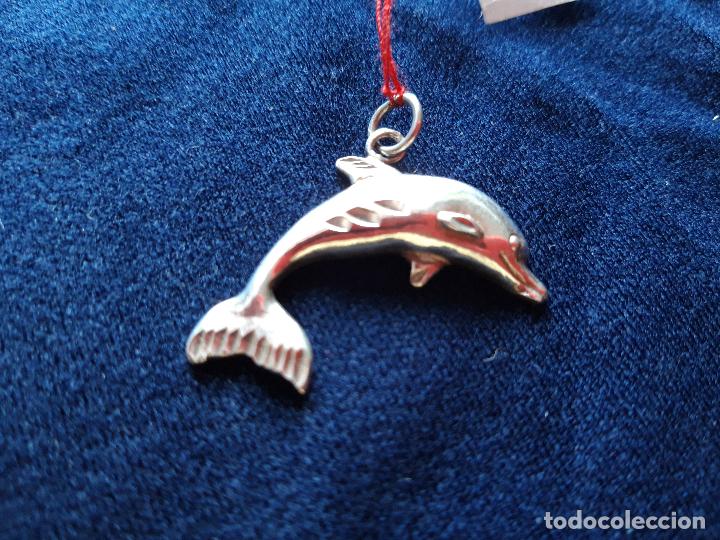 Joyeria: Delf&iacute;N de plata - Foto 1
