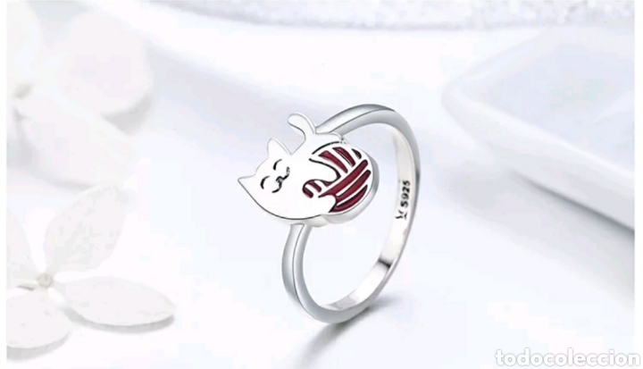 Joyeria: Anillo de Plata ENV&Iacute;O GRATIS!! - Foto 1
