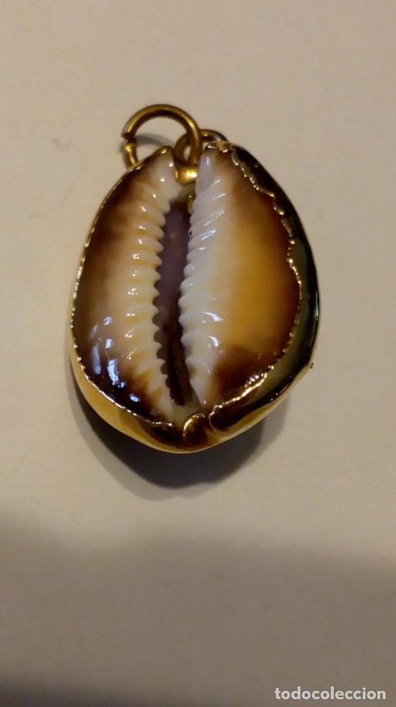 Joyeria: Colgante caracola - Foto 1