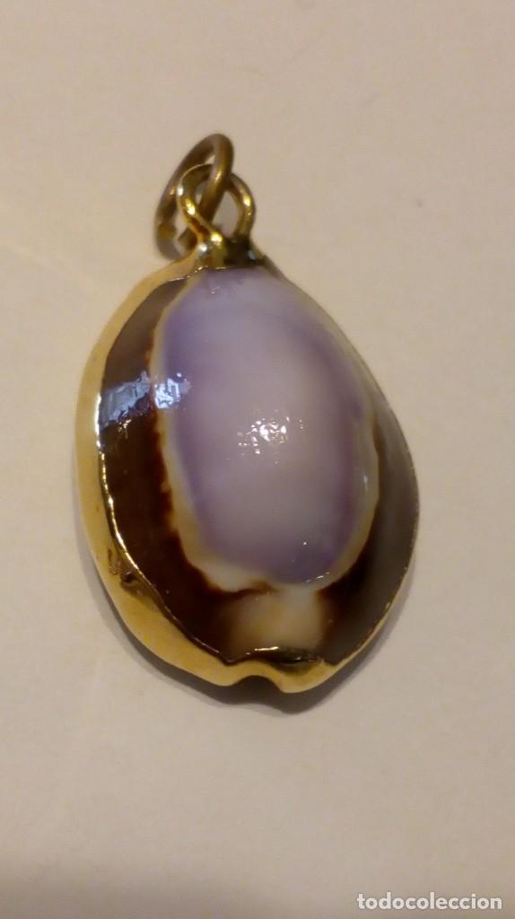 Joyeria: Colgante caracola - Foto 2