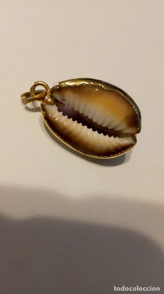 Joyeria: Colgante caracola - Foto 5