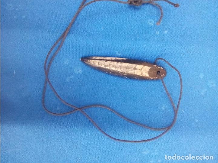 Joyeria: Colgante fosil - Foto 1