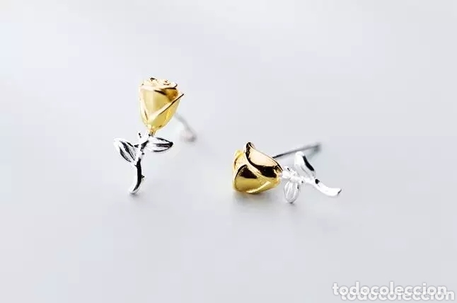 Joyeria: Pendientes de Plata ENV&Iacute;O GRATIS! - Foto 4