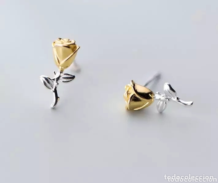 Joyeria: Pendientes de Plata ENV&Iacute;O GRATIS! - Foto 1