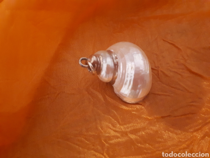 Joalharia: Colgante caracol de mar n&aacute;car dorado