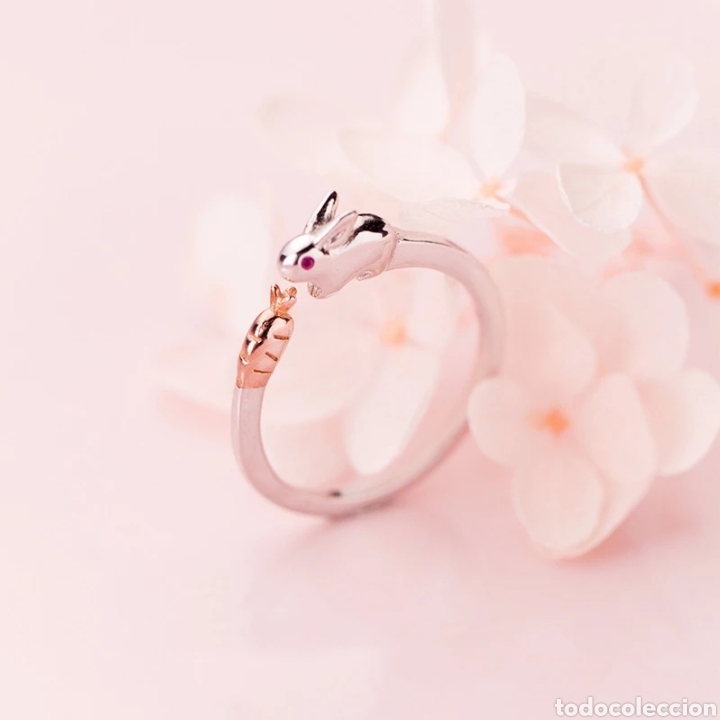 Joyeria: Anillo de Plata ENV&Iacute;O GRATIS!! - Foto 4