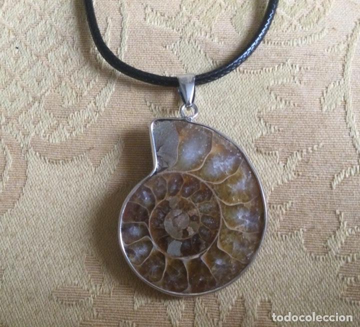 Joyeria: COLGANTE F&Oacute;SIL NATURAL