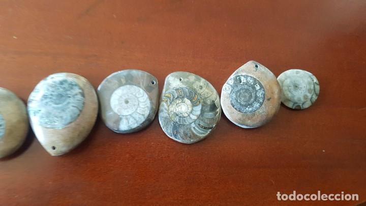 Joyeria: Colgantes de Ammonites - Foto 1