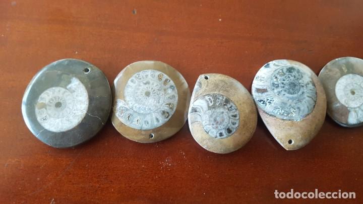 Joyeria: Colgantes de Ammonites - Foto 2