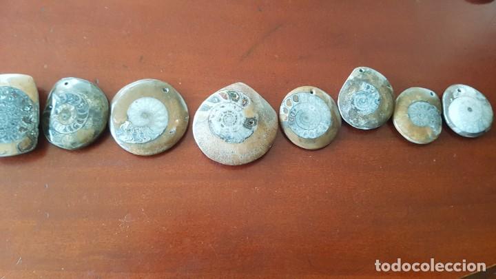Joyeria: Colgantes de Ammonites - Foto 1