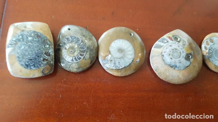 Joyeria: Colgantes de Ammonites - Foto 2