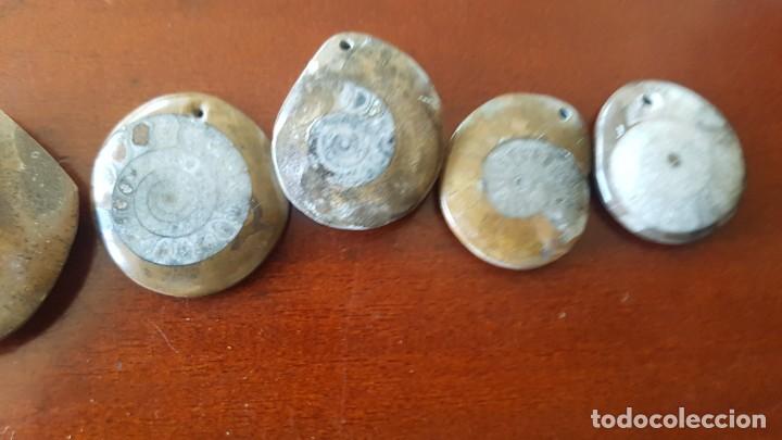 Joyeria: Colgantes de Ammonites - Foto 3