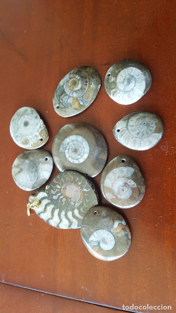 Joyeria: Colgantes de Ammonites - Foto 1