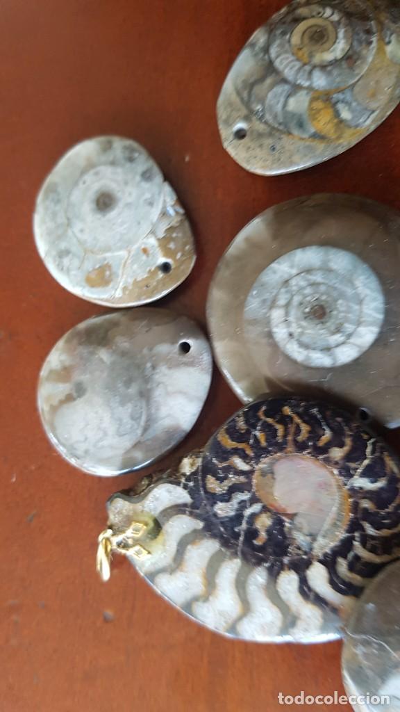 Joyeria: Colgantes de Ammonites - Foto 2
