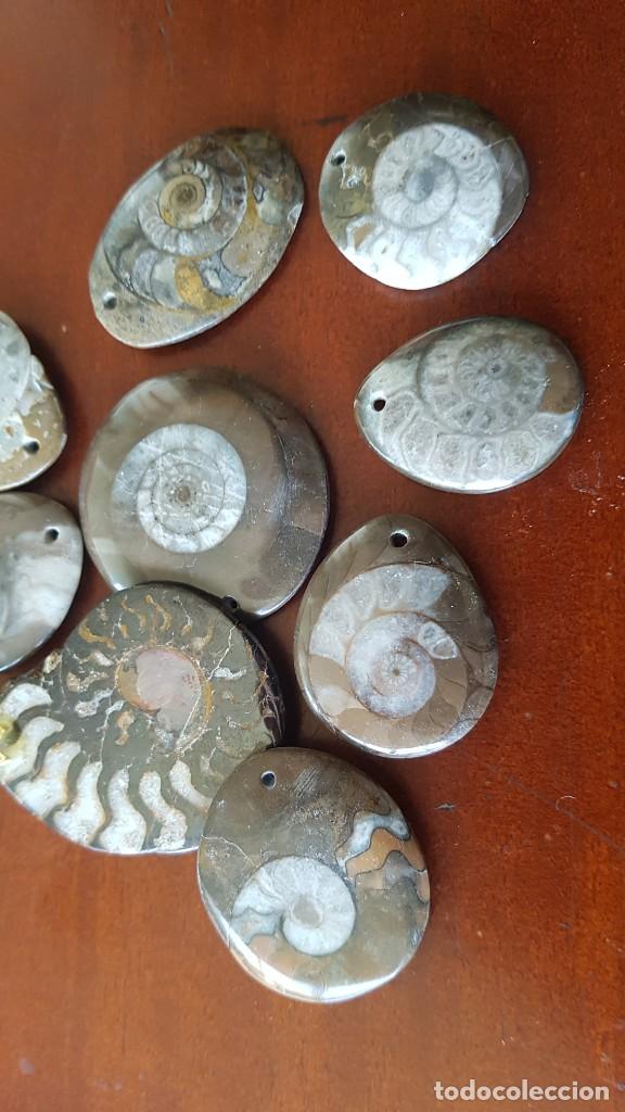 Joyeria: Colgantes de Ammonites - Foto 3