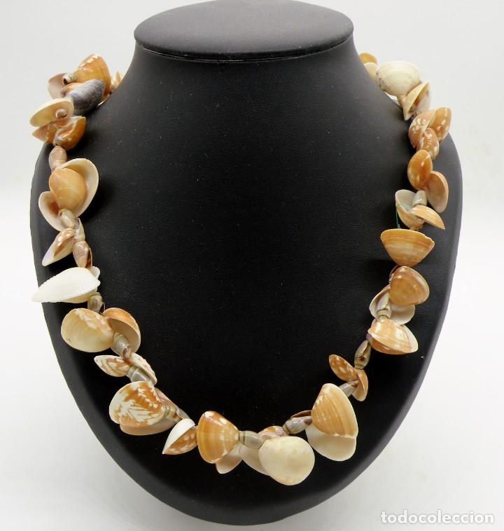 Schmuck: COLLAR DE CONCHAS DE MAR. NUEVO