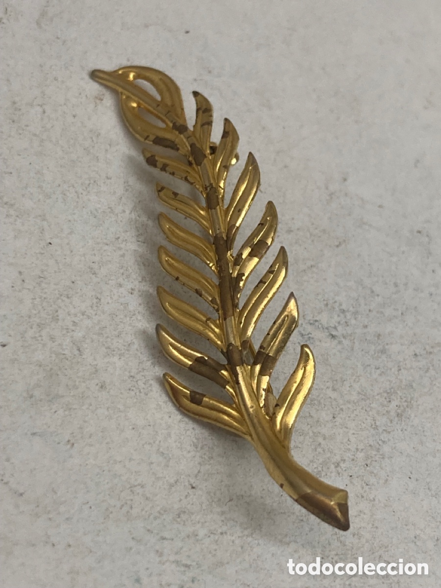 Joyeria: Broche de bisuteria