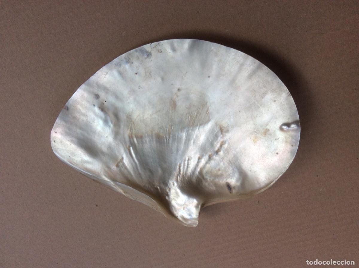 Joyeria: CONCHA DE NACAR. - Foto 2