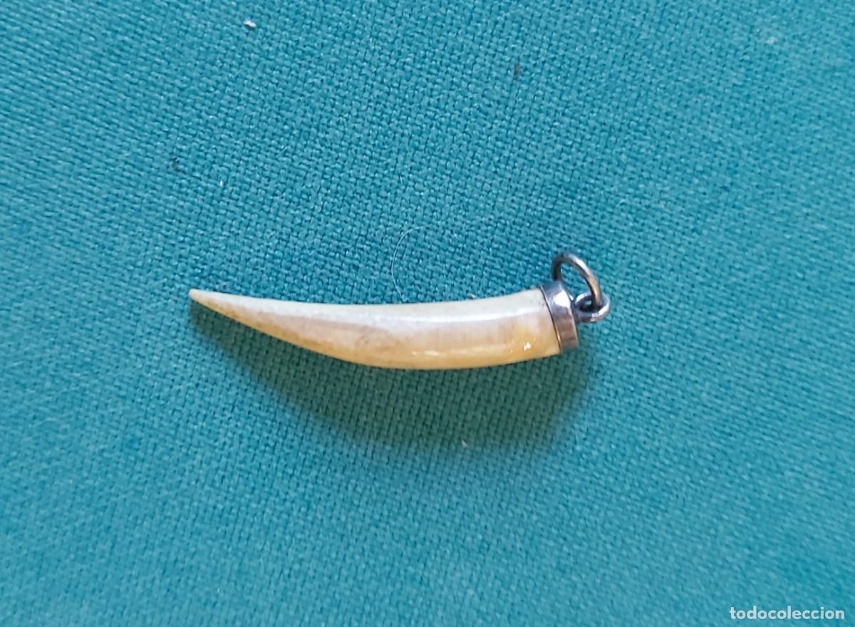 Joyeria: Colgante de colmillo o similar - Foto 1