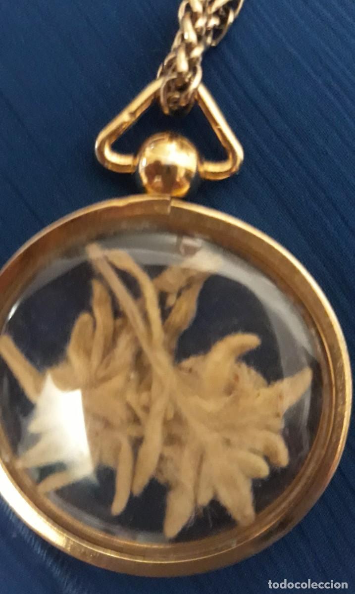 Joyeria: GARGANTILLA Chapado Oro - Foto 8